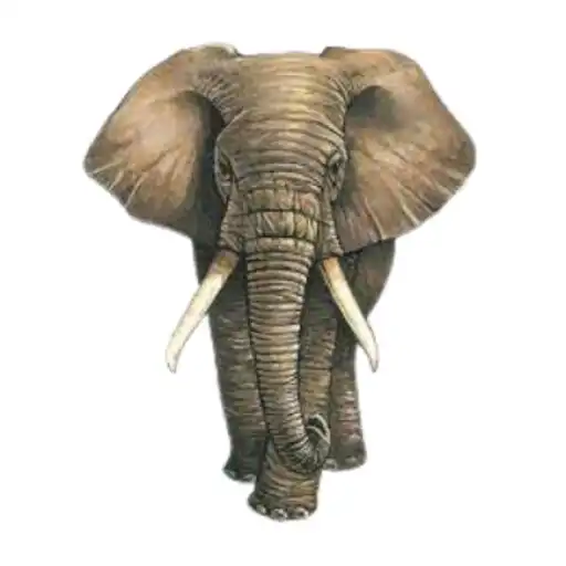 Play Éléphant APK