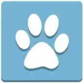 Free play online LSIVeterinaria Smart APK Free play online LSIVeterinaria Smart APK
