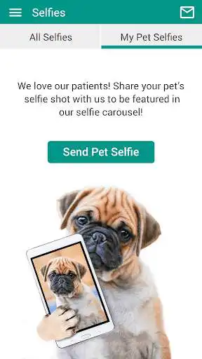 Play LTAH as an online game online LTAH with UptoPlay com.vet2pet.laketravisanimalhosp200141294 Play LTAH as an online game LTAH with UptoPlay