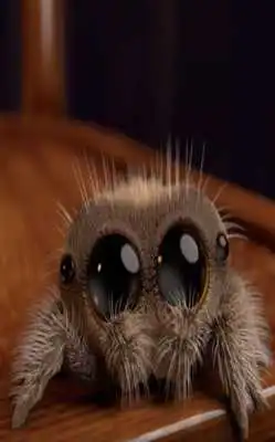 Play Lucas The Spider