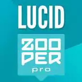 Free play online Lucid Clock Zooper Widget APK