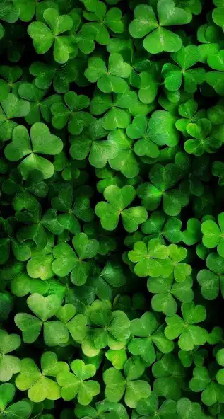 Play Lucky App - Lucky Charm Amulet as an online game Lucky App - Lucky Charm Amulet with UptoPlay