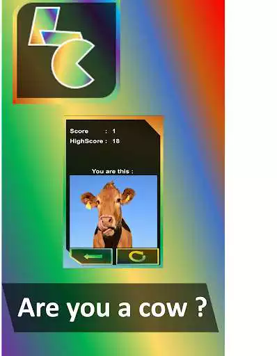 Play LuckyColor