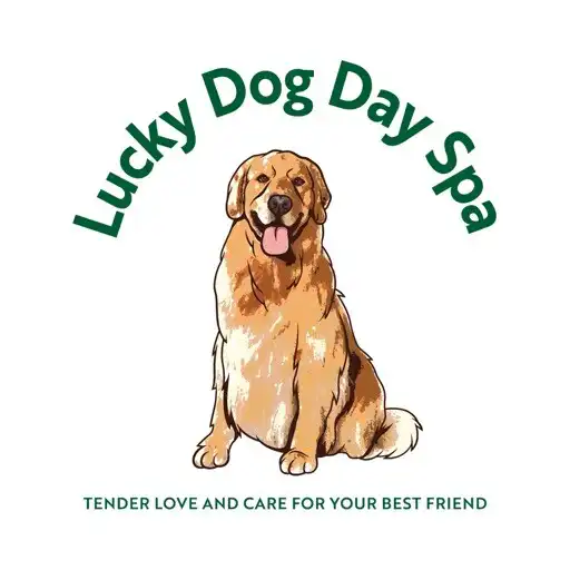 Play Lucky Dog Day Spa APK
