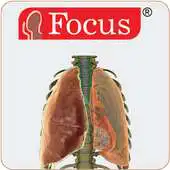 Free play online Lungs APK