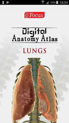 Play Lungs Play Lungs