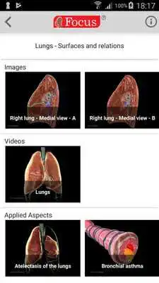 Play Lungs Play Lungs