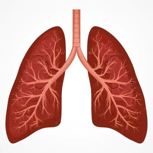 Play Lung Test and Breath Exercise APK Play Lung Test and Breath Exercise APK