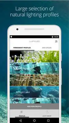 Play LUPYLED