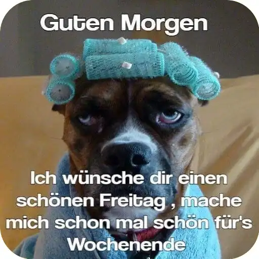 Play Lustige Guten Morgen Bilder APK