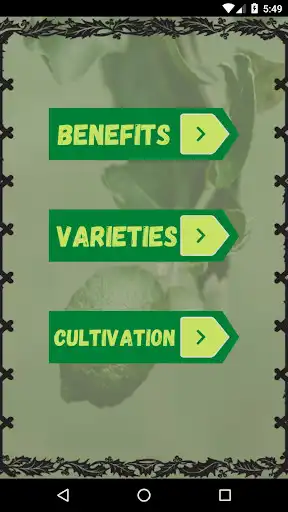 Play Lusty Lemon  and enjoy Lusty Lemon with UptoPlay