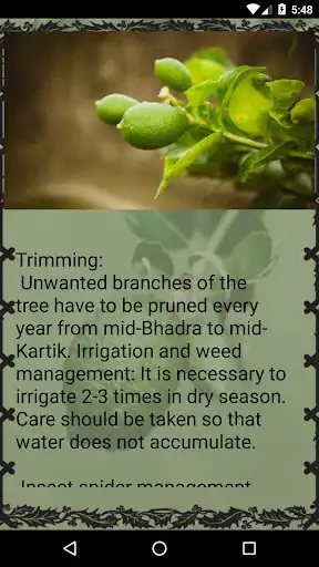 Play Lusty Lemon as an online game Lusty Lemon with UptoPlay