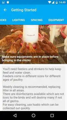 Play Luunda Lite Poultry