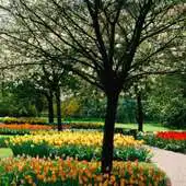 Free play online Luxembourg Jigsaw Puzzles APK