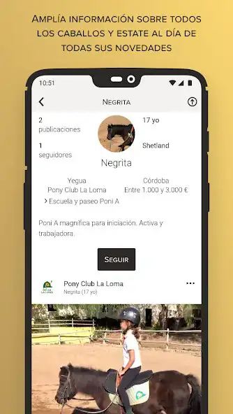 Play Luxequus - Horses social network as an online game Luxequus - Horses social network with UptoPlay