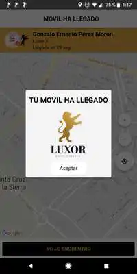 Play Luxor Movil Services