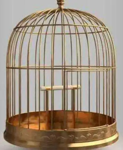 Play Luxurious and Unique Bird Cages Design as an online game Luxurious and Unique Bird Cages Design with UptoPlay