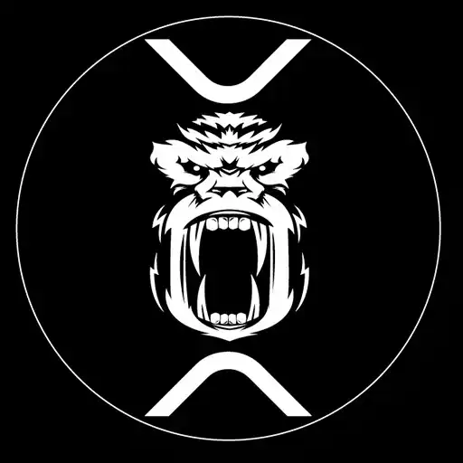 Play LXA AR App APK Play LXA AR App APK