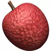 Free play online Lychee 3D APK
