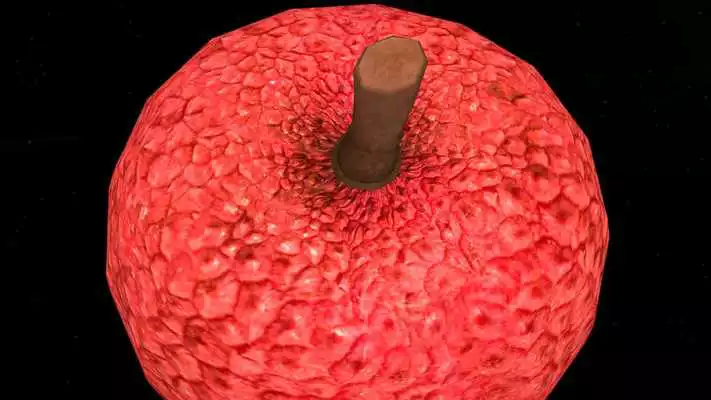 Play Lychee 3D