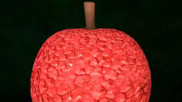 Play Lychee 3D