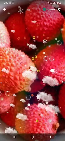 Play Lychee Wallpaper  and enjoy Lychee Wallpaper with UptoPlay