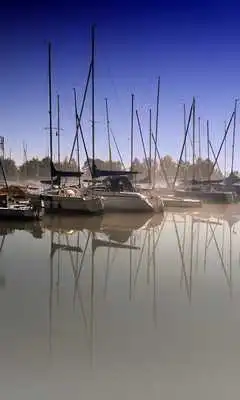 Play Lyman Wallpapers Play Lyman Wallpapers