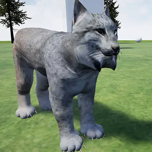 Play Lynx Cat Runner Simulator APK Play Lynx Cat Runner Simulator APK