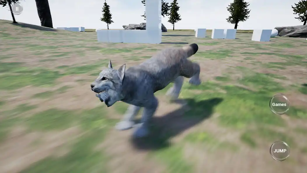 Play Lynx Cat Runner Simulator  and enjoy Lynx Cat Runner Simulator with UptoPlay