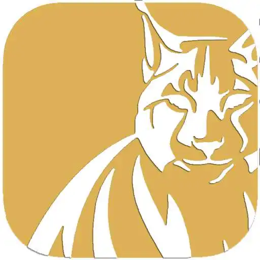 Play Lynx Driver APK Play Lynx Driver APK