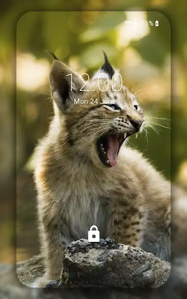 Play Lynx wallpaper  and enjoy Lynx wallpaper with UptoPlay