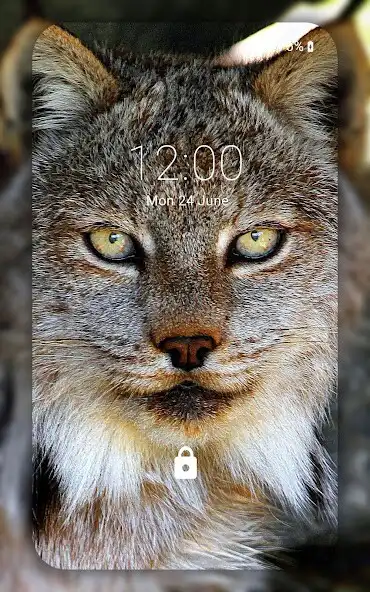 Play Lynx wallpaper as an online game Lynx wallpaper with UptoPlay