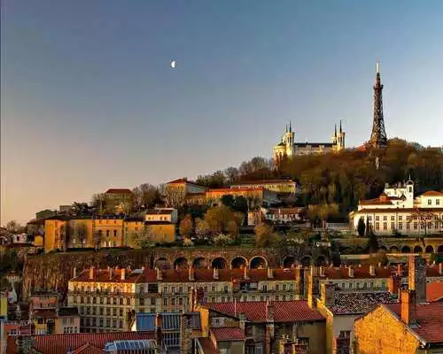 Play Lyons Game Jigsaw Puzzles