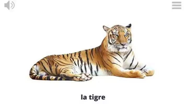 Play Lyrebird: Learn ITALIAN