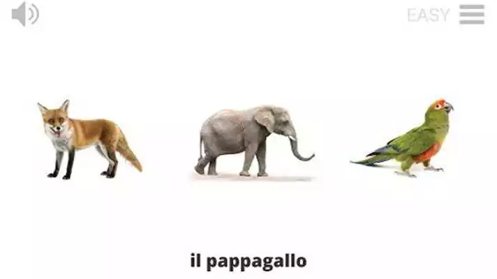 Play Lyrebird: Learn ITALIAN