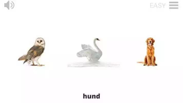 Play Lyrebird: Learn NORWEGIAN