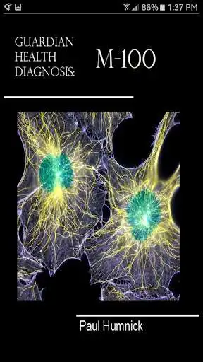 Play M-100 Play M-100