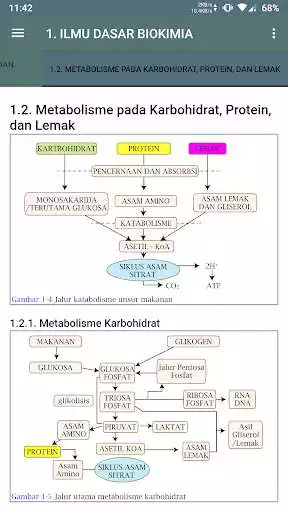 Play M3 Kedokteran : Ilmu Dasar Biokimia as an online game M3 Kedokteran : Ilmu Dasar Biokimia with UptoPlay