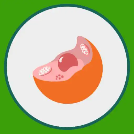 Play M3 Kedokteran : Ilmu Dasar Biologi APK