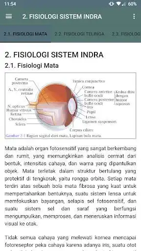 Play M3 Kedokteran : Ilmu Dasar Fisiologi as an online game M3 Kedokteran : Ilmu Dasar Fisiologi with UptoPlay