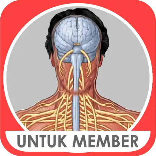 Play M3 Kedokteran: Sistem Saraf APK