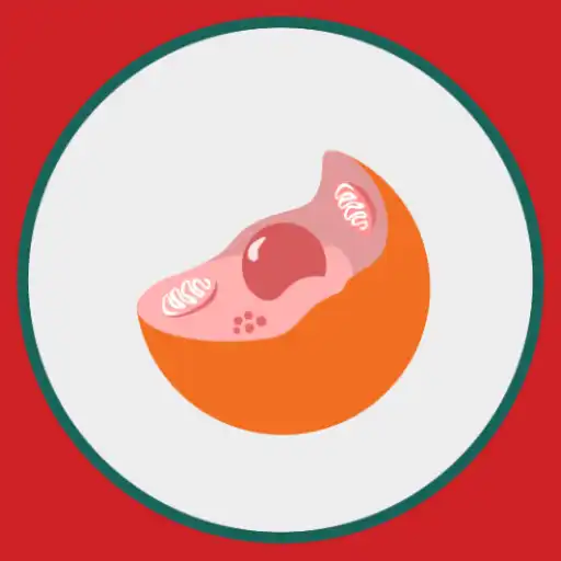 Play M3 Kesmas: Ilmu Dasar Biologi APK Play M3 Kesmas: Ilmu Dasar Biologi APK