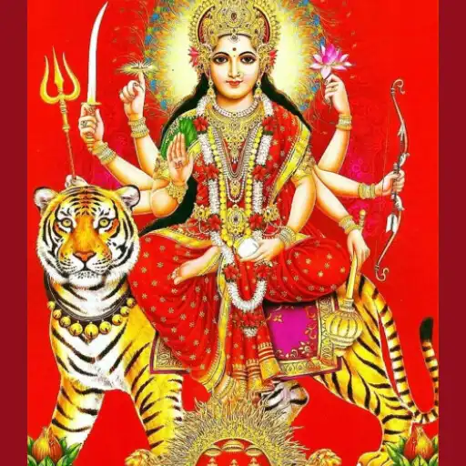 Play Maa Bhagwati Repo Agency APK