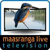 Free play online Maasranga TV APK