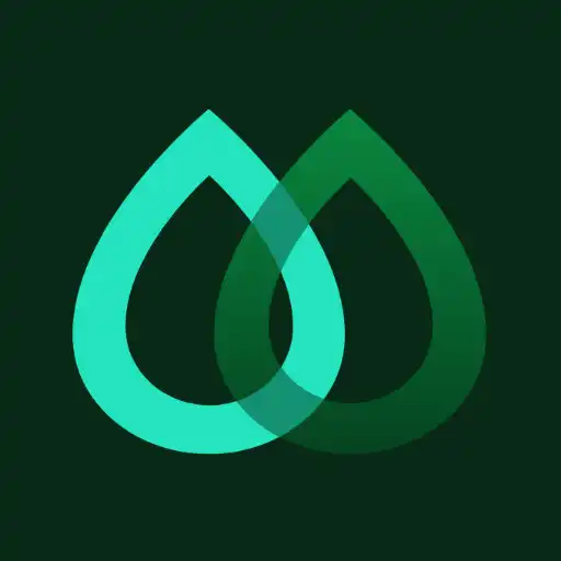 Play Mabia APK Play Mabia APK