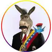 Free play online Maburro Quiz APK