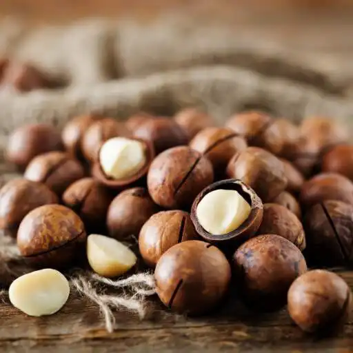 Play Macadamia Wallpaper APK