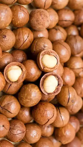 Play Macadamia Wallpaper and enjoy Macadamia Wallpaper with UptoPlay Play Macadamia Wallpaper and enjoy Macadamia Wallpaper with UptoPlay