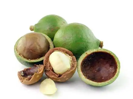Play Macademia Nut Wallpapers