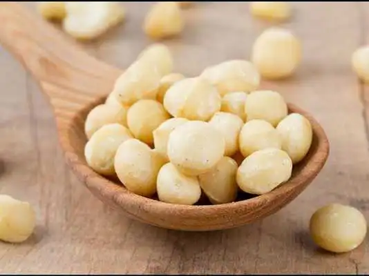Play Macademia Nut Wallpapers